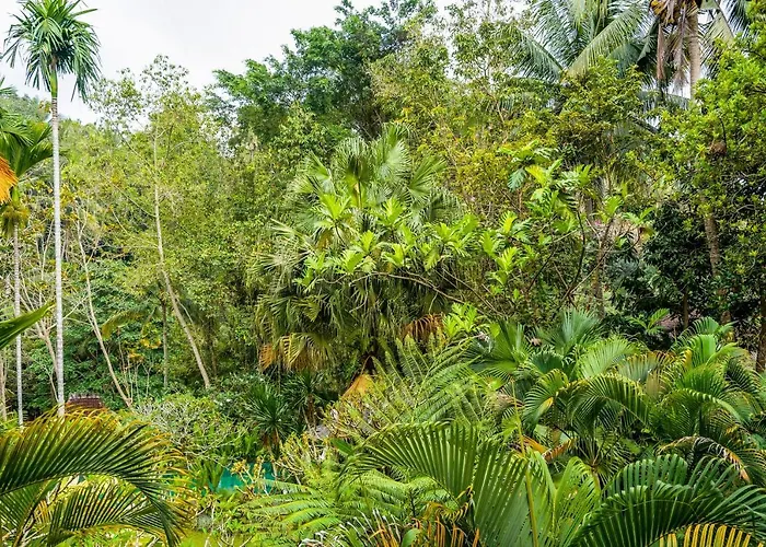 Beji Indah Ubud