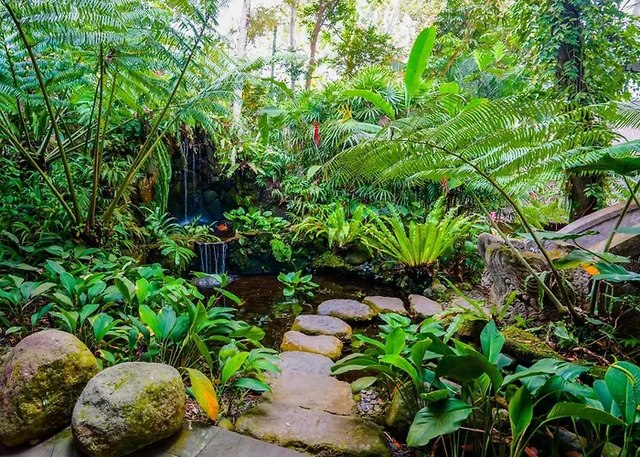 Beji Indah Ubud